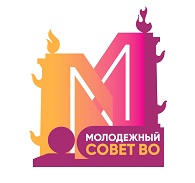 Молодежный совет Василеостровского района